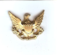 11053 American Eagle Emblem